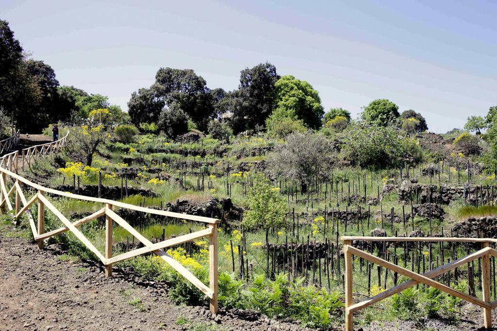 Villa Ecoagriturismo Notti Stellate Etna Mare Mascali Exterior foto