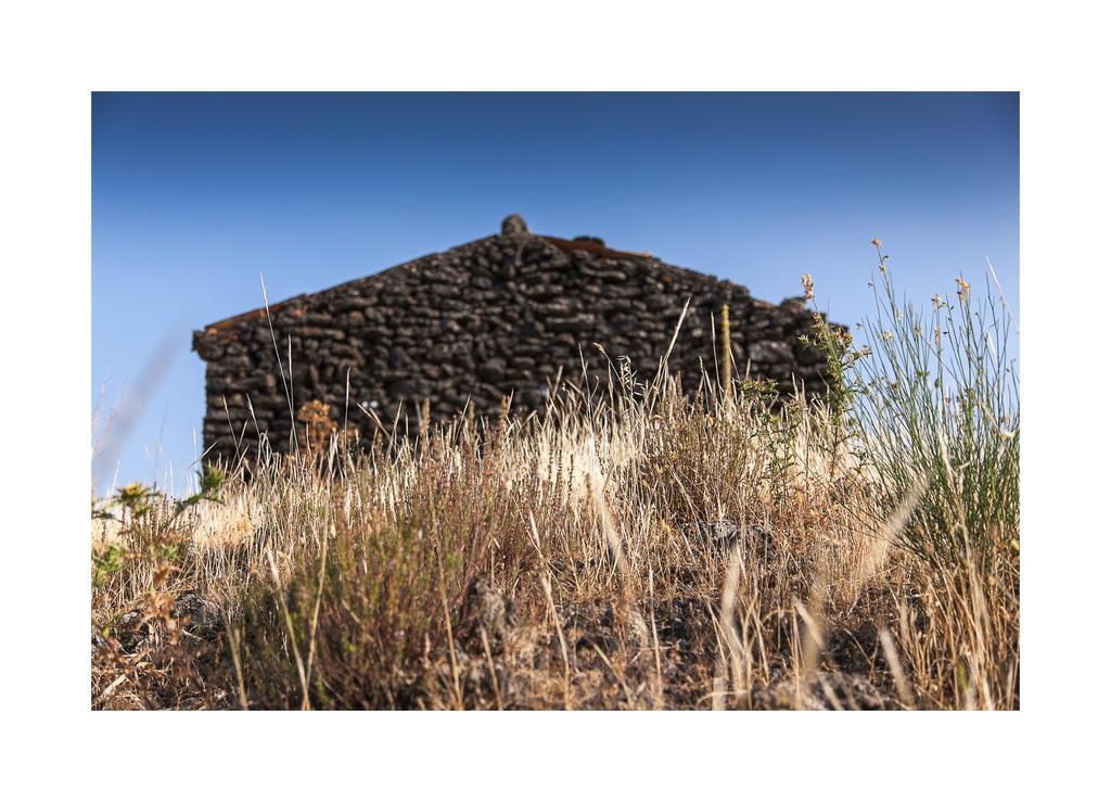 Ecoagriturismo Notti Stellate Etna Mare Mascali Exterior foto